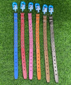COLLAR PARA MASCOTA DE CLAVOS DE HONGOS #3.0 1UND