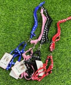 CUERDA Y PECHERA PARA MASCOTA DE HUELLA #1.0 1UND (2PCS)