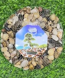 PIEDRAS COLOR NATURAL 1 MALLA