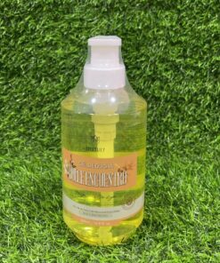 GEL PARA BAÑAR DE DULCE ENCUENTRO 500ML 1UND