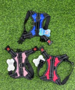 PECHERA PARA MASCOTA TALLA M 1UND