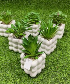 SUCULENTA CON BASE CUADRADA CON DISEÑO 1UND