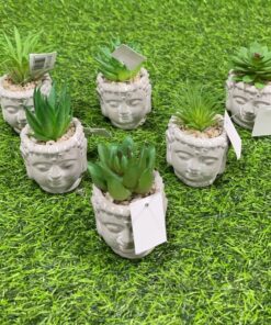 SUCULENTA CON BASE DE BUHO 1UND
