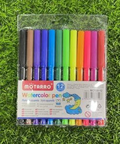 LAPIZ DE PINTAR 1UND (12PCS)