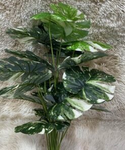 PLANTA ARTIFICIAL DE HOJA DE TORTUGA 1UND