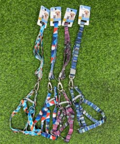 CUERDA Y PECHERA PARA MASCOTA CON DISEÑO #2 60CM 1UND (2PCS)