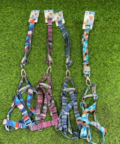 CUERDA Y PECHERA PARA MASCOTA CON DISEÑO #2.5 75CM 1UND (2PCS)