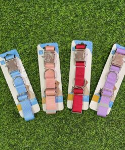 COLLAR PARA MASCOTA COLOR LISO #2.5 1UND