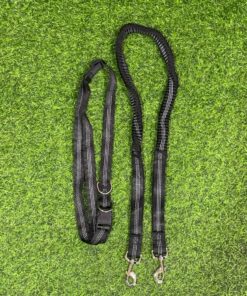 COLLAR Y CUERDA PARA MASCOTA 1UND (2PCS)