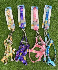 CUERDA Y PECHERA PARA MASCOTA DE DISEÑOS #2 1UND (2PCS)