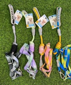 CUERDA Y PECHERA PARA MASCOTA DE COLOR DEGRADADO #2 1UND (2PCS)