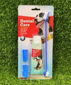 SET DE CEPILLO Y PASTA DENTAL PARA MASCOTA 95G 1UND