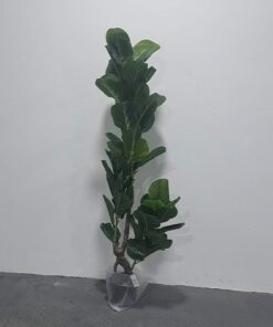 PLANTA ARTIFICIAL DE MINI FICUS LYRATA 1.2M 1UND