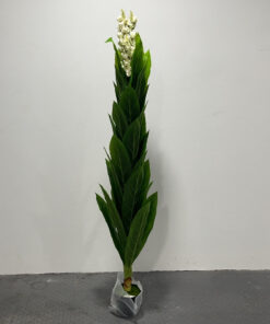 PLANTA ARTIFICIAL DE LIRIO DE LOS VALLES 1.55M 1UND