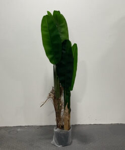 PLANTA ARTIFICIAL DE BANANA 2.2M 1UND