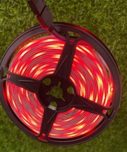 TIRA DE LUCES LED 2835 5M 1UND