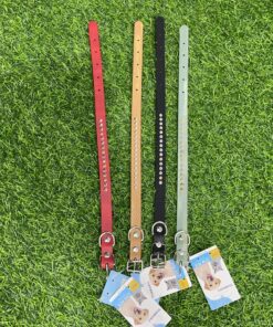 COLLAR PARA MASCOTA DE COLOR LISO #1.5 1UND