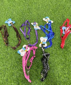 CUERDA Y PECHERA PARA MASCOTA CON DISEÑOS #1.5 1UND