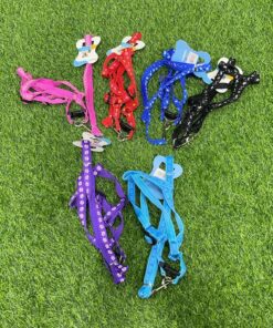 CUERDA Y PECHERA PARA MASCOTA CON DISEÑOS #1.0 1UND