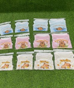 ROPA PARA MASCOTA DE CAPYBARA 1UND