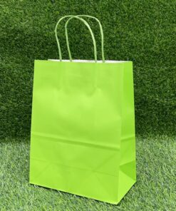 BOLSA DE REGALO COLOR VERDE CLARO 22*27*11CM 1UND