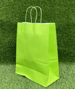 BOLSA DE REGALO COLOR VERDE CLARO 26*33*12CM 1UND