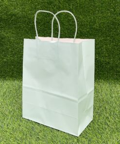 BOLSA DE REGALO COLOR VERDE MENTA 22*27*11CM 1UND