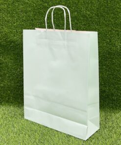 BOLSA DE REGALO COLOR VERDE MENTA 31*42*11.5CM 1UND