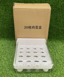 CAJA PARA HUEVO DE 20 ESPACIO 1UND