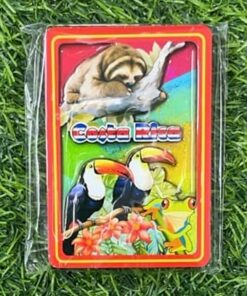 IMÁN PARA REFRIGERADORA DE OSO PEREZOSO Y TUCÁN 1UND