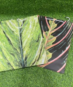 BOLSA DE REGALO DE HOJA 40*30*12CM 1UND