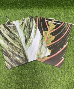 BOLSA DE REGALO DE HOJA 32*26*12CM 1UND