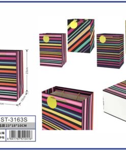 BOLSA DE REGALO DE LÍNEAS EN COLORES 23*18*10CM 1UND